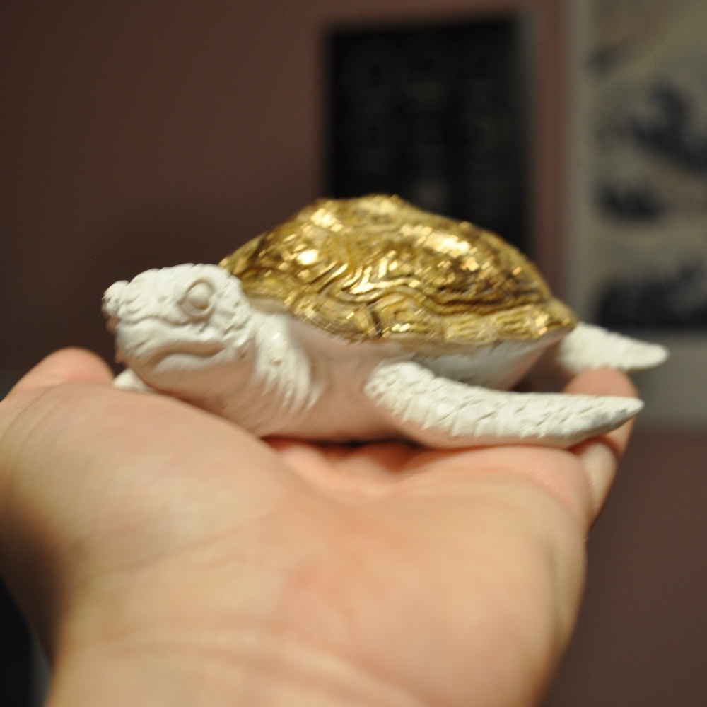 GOLD AND WHITE TURTLE